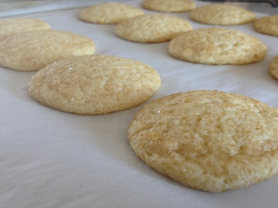 Olas & Chanclas | Lemon Sugar Cookies