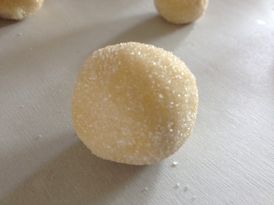 Olas & Chanclas | Lemon Sugar Cookies