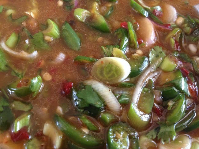 Olas & Chanclas | (Asian-Inspired) Flank Steak: 2 Ways